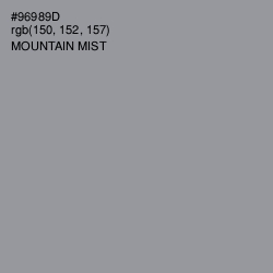 #96989D - Mountain Mist Color Image